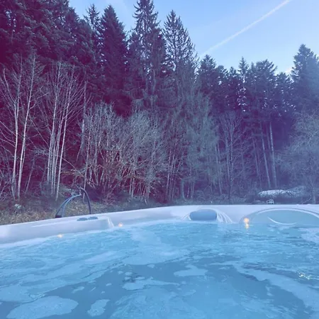 Alpesi faház O'coeur Des Vosges *