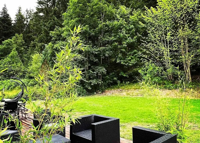 O'coeur Des Vosges * 제라르메르